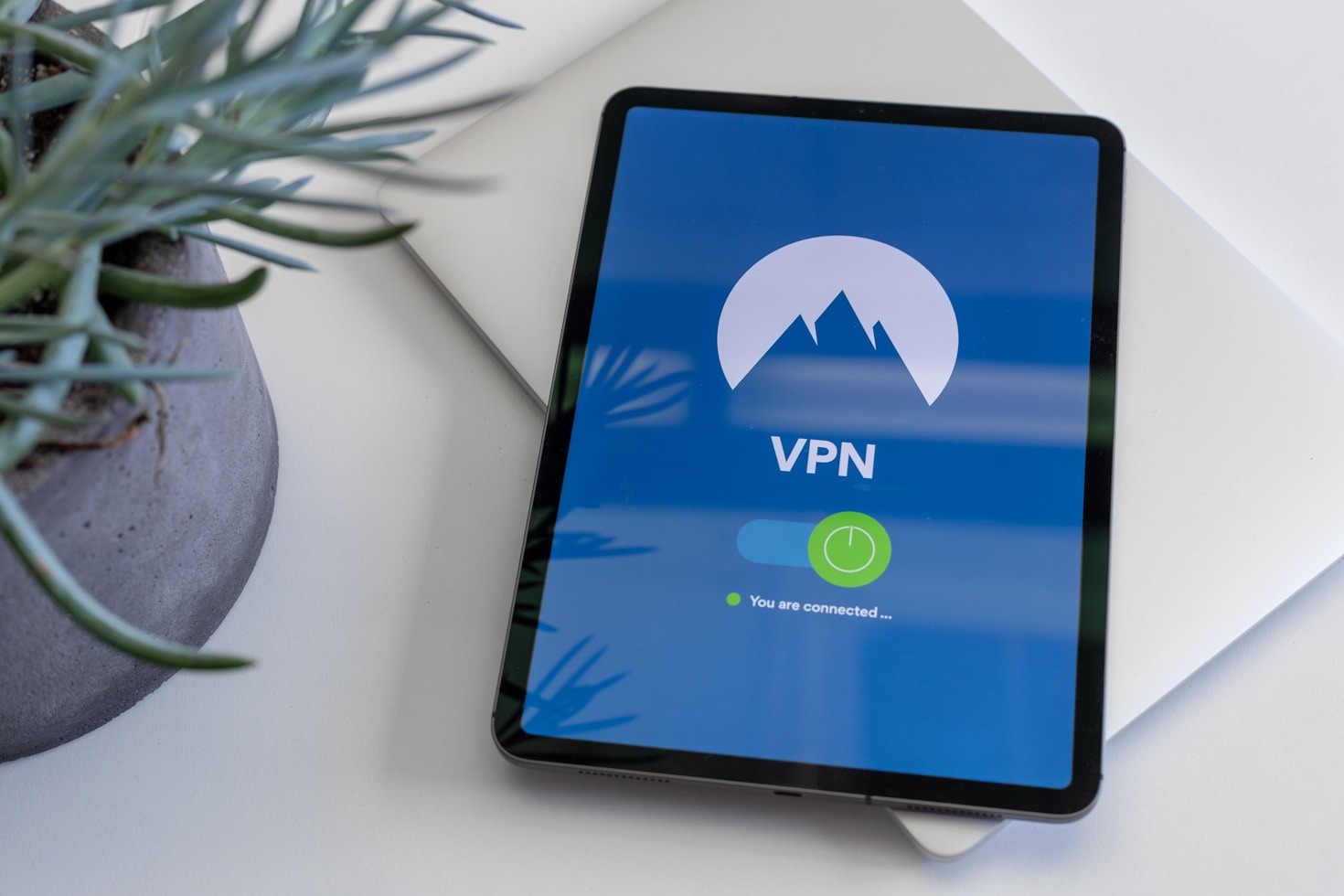 A Step-by-Step Guide to Scam Prevention